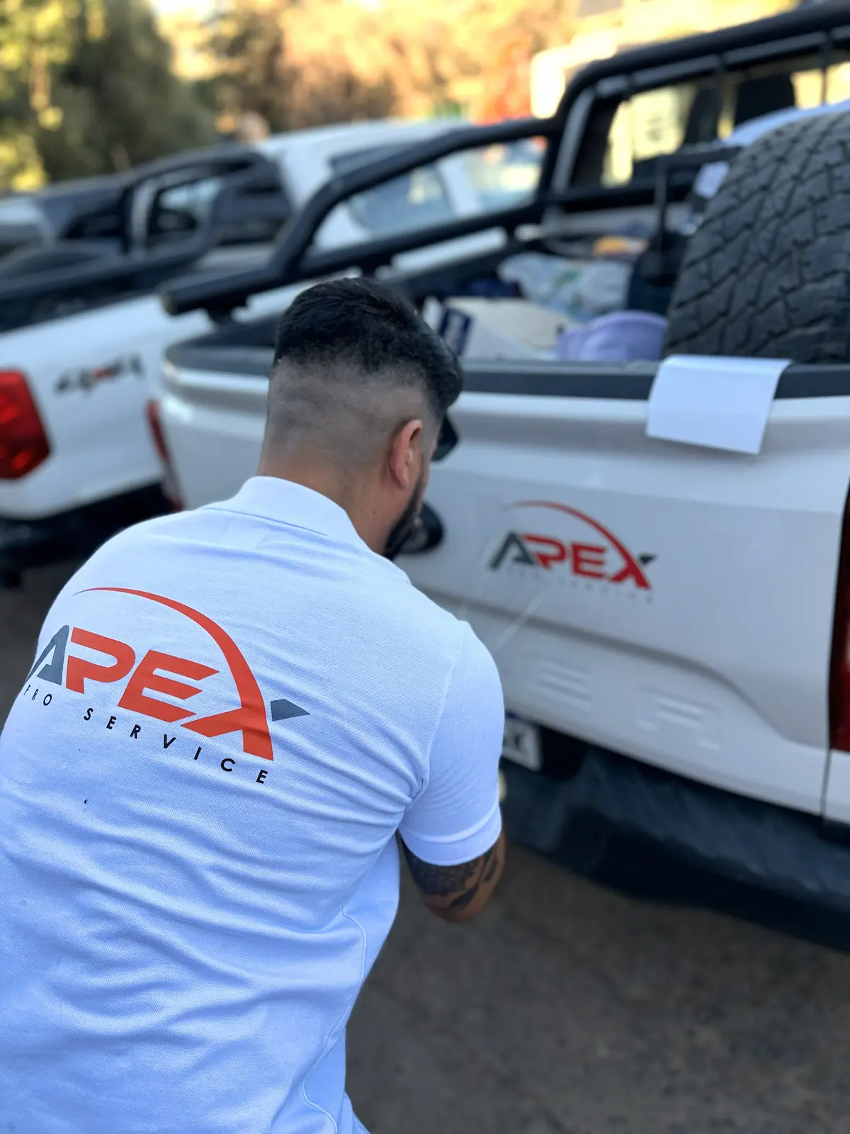 Servicios operativos de APEX
